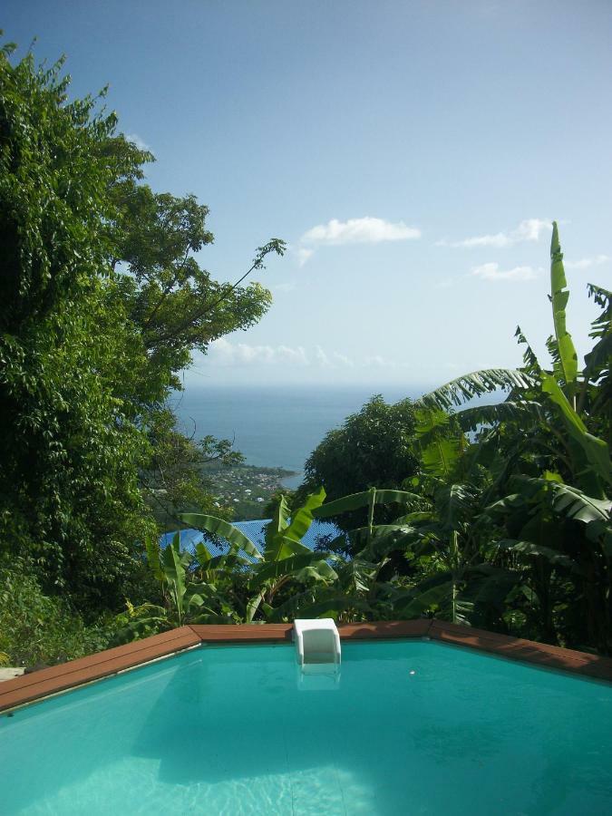 Mango Tree Lodge Bouillante Eksteriør billede